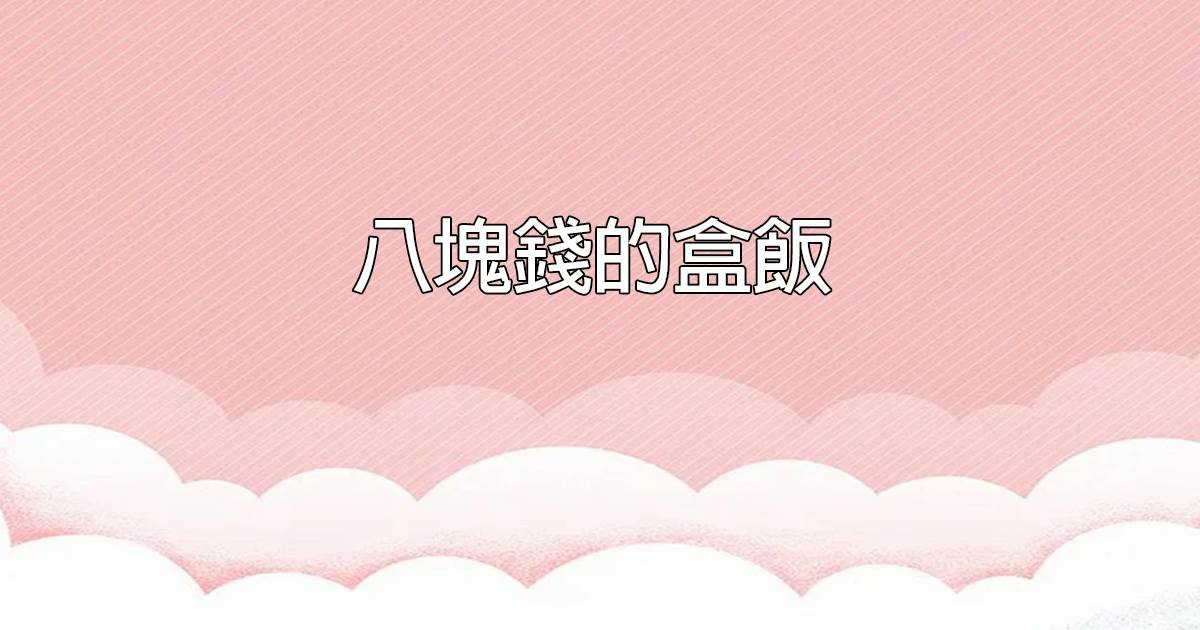 八塊錢的盒飯